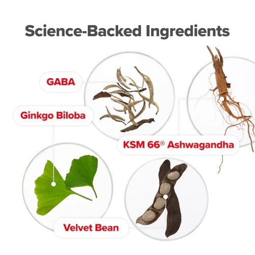 URO - Probiótico Vaginal + Metabolismo